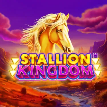 Stallion Kingdom